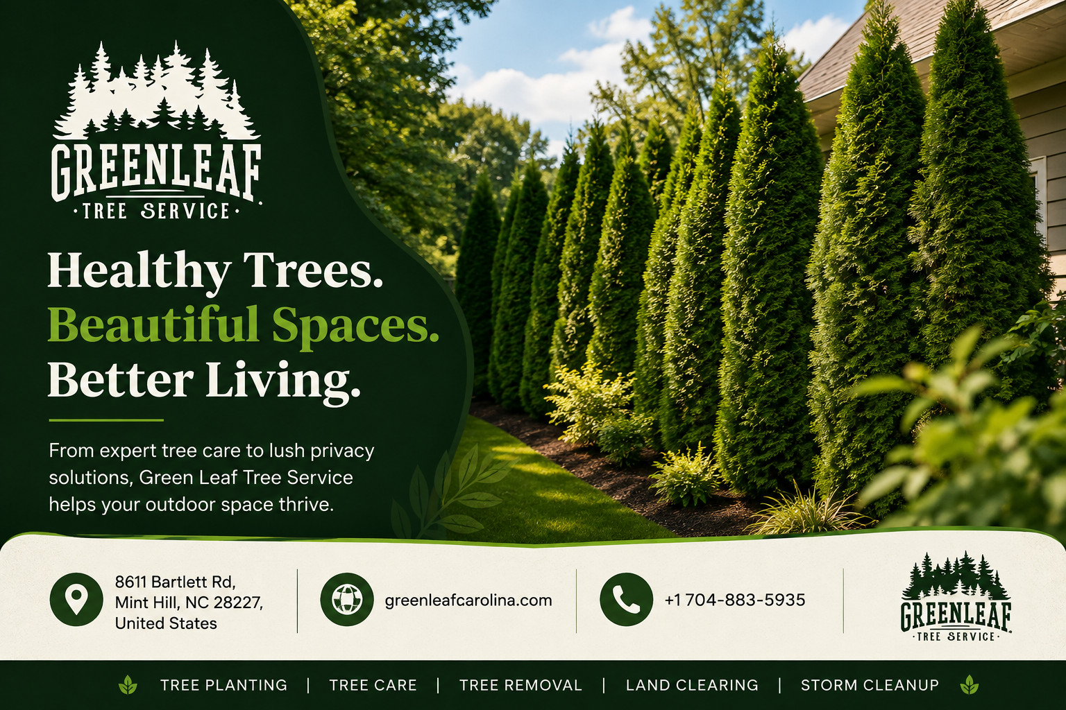 What Trees Grow Best in Charlotte’s Climate?