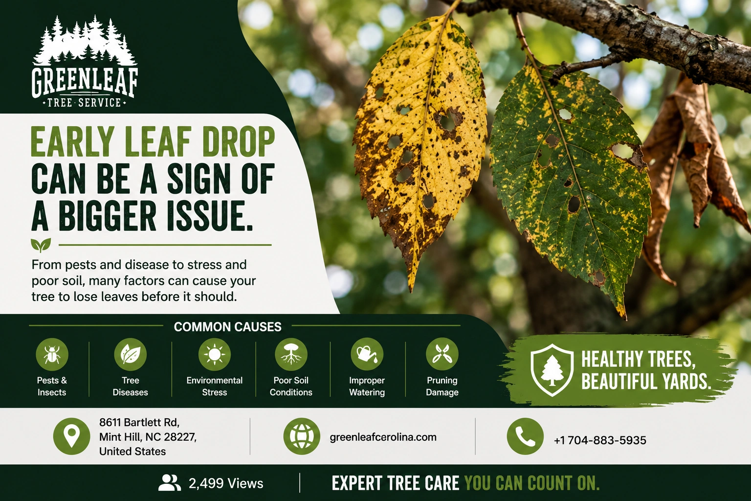 Early Leaf Drop