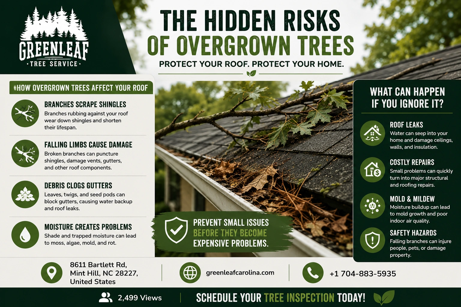 the hidden risks of overgrow trees