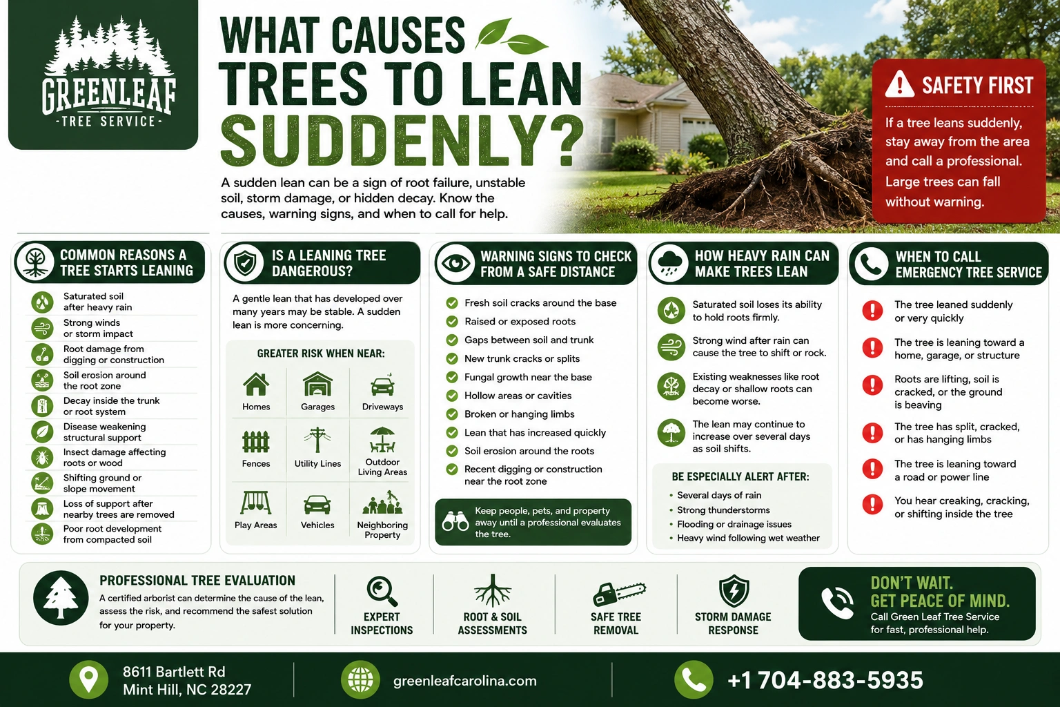 What causes tree to lean suddenly