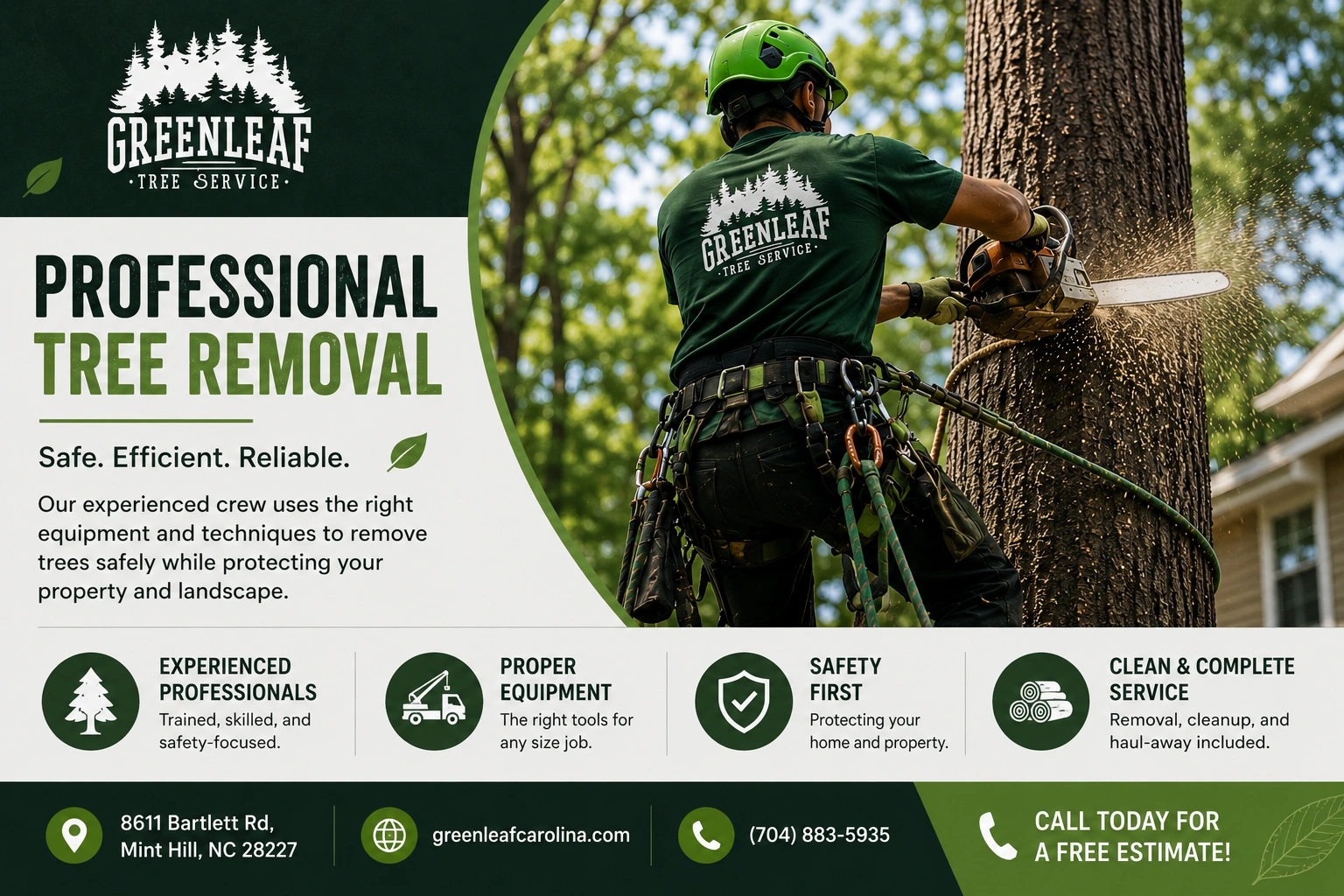 Professional Tree Removal