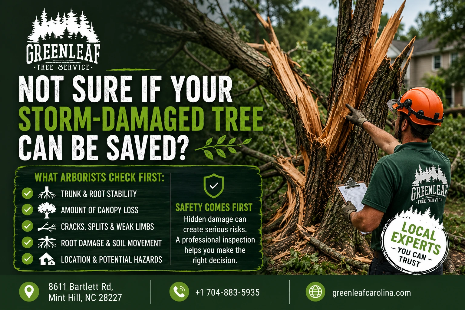 Not sure if your storm damage tree can be save