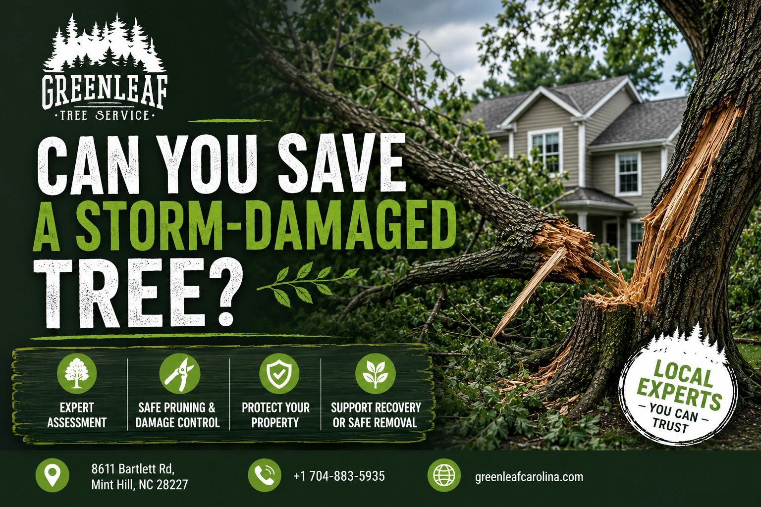 can you save a storm-damage tree?