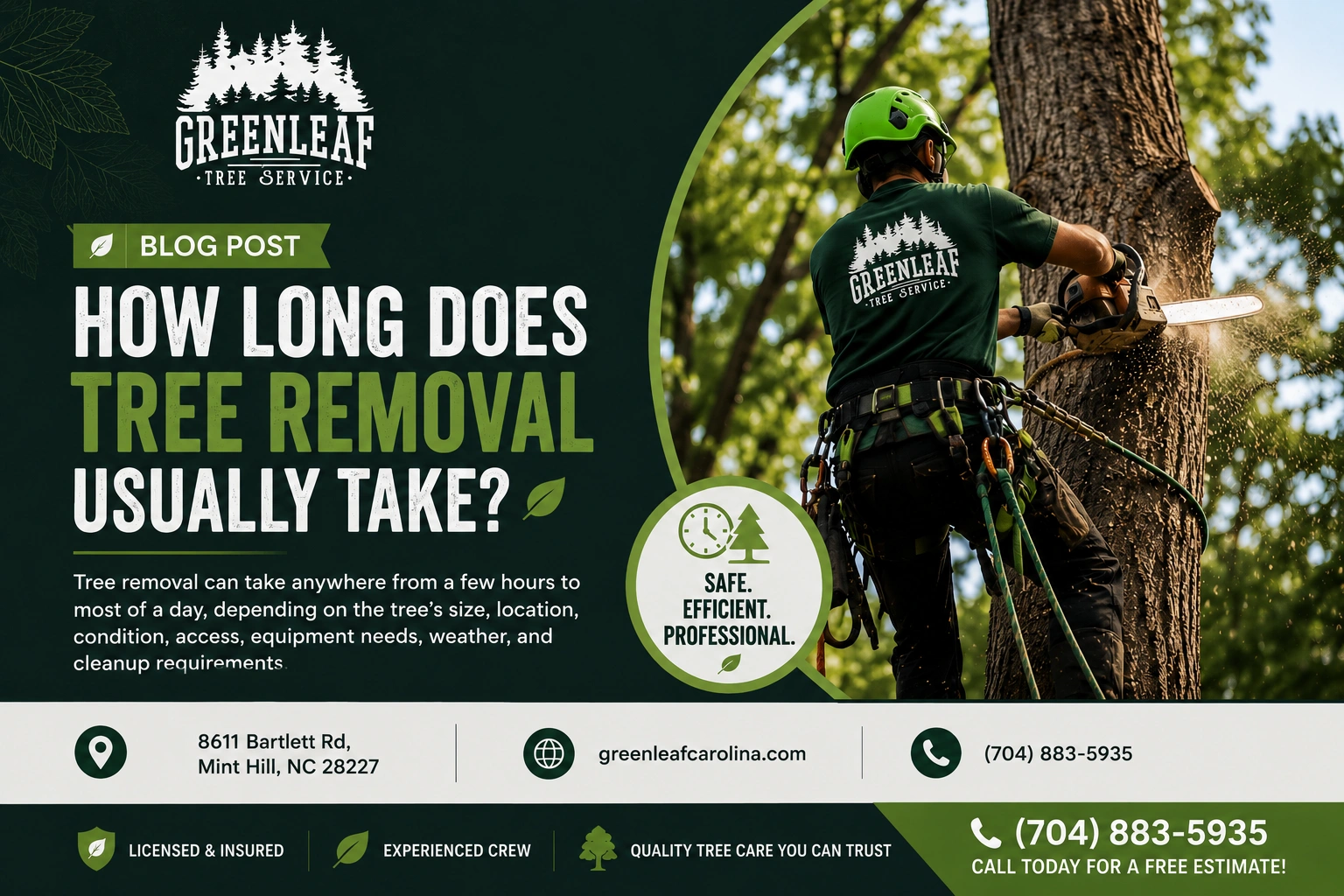 How long does tree removal usually takes
