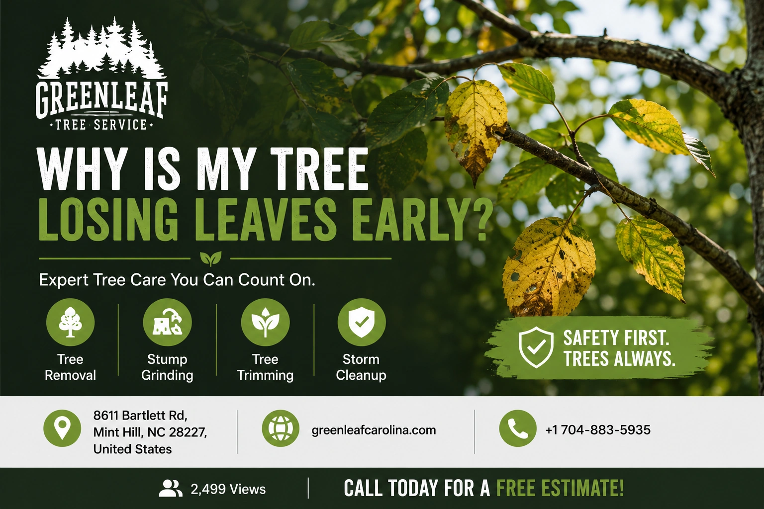 Why Is My Tree Losing Leaves Early?
