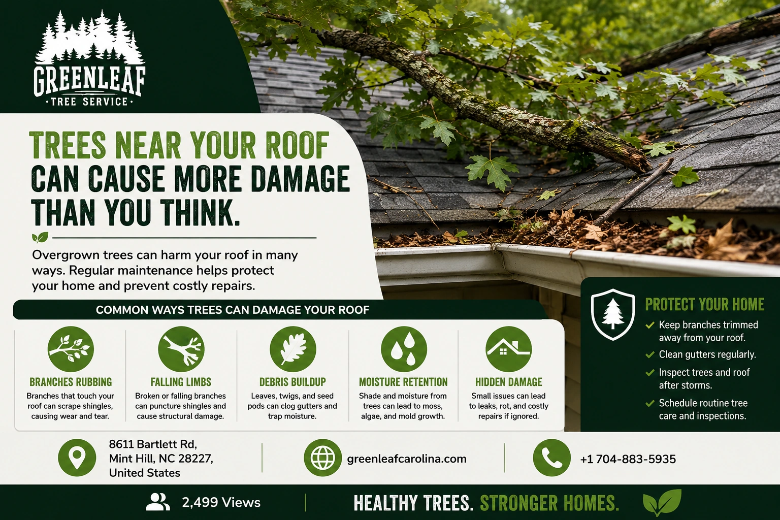 Can Overgrown Trees Damage Your Roof?