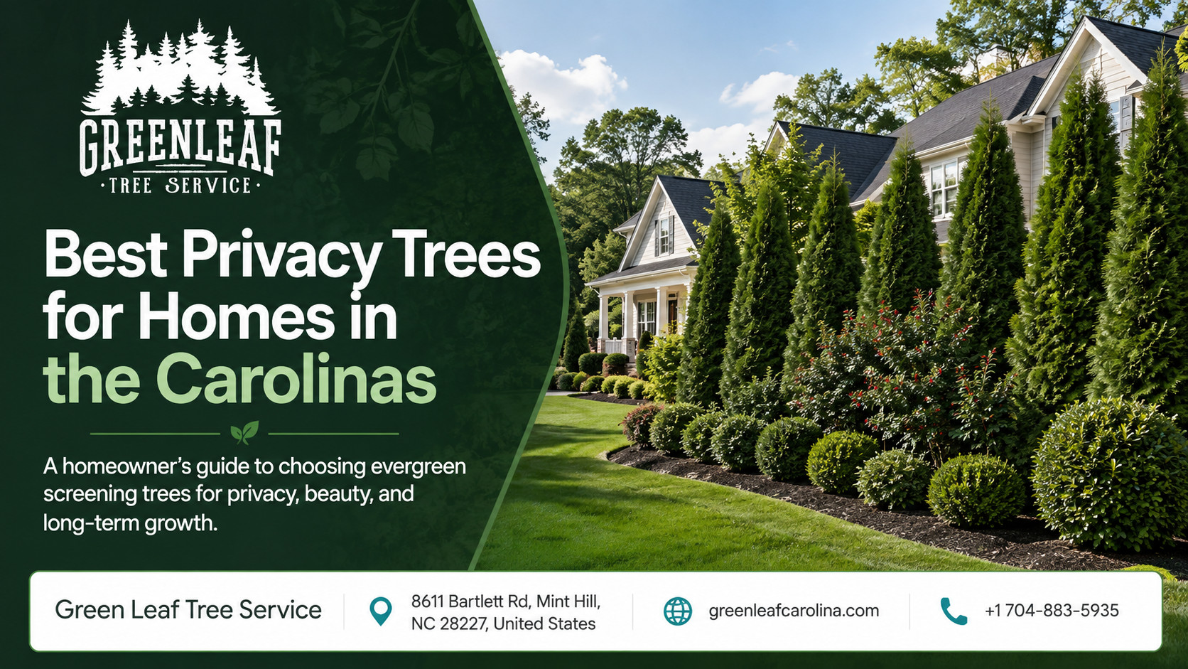 What Trees Grow Best in Charlotte’s Climate?