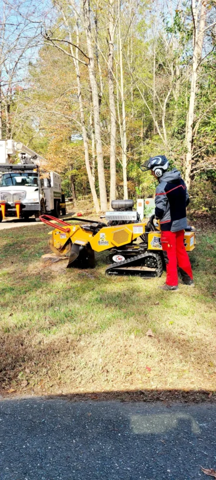 Stump Grinding
