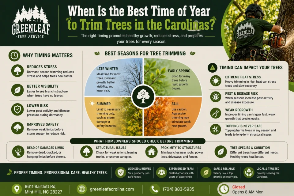 Best time to trim trees