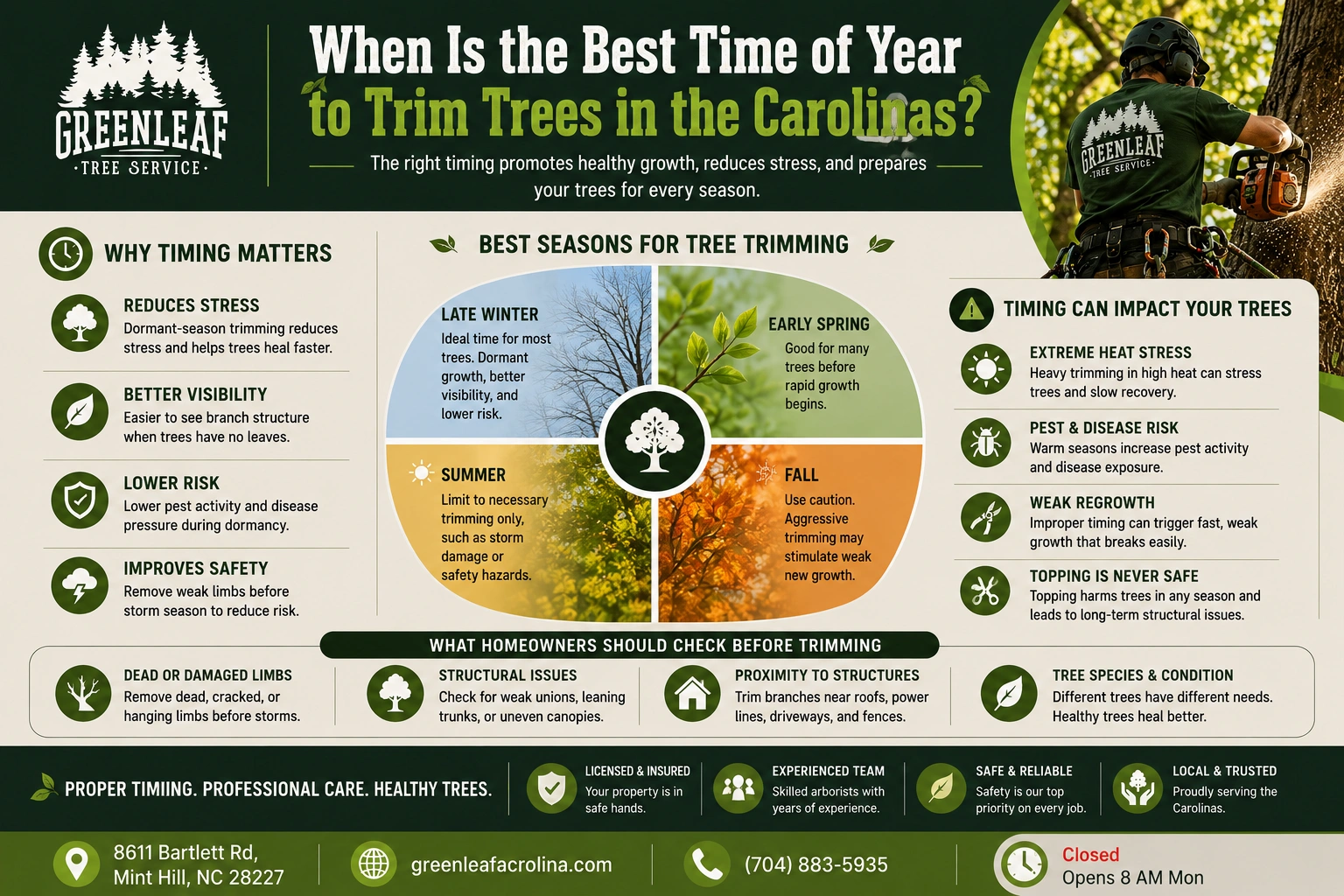 Best time to trim trees