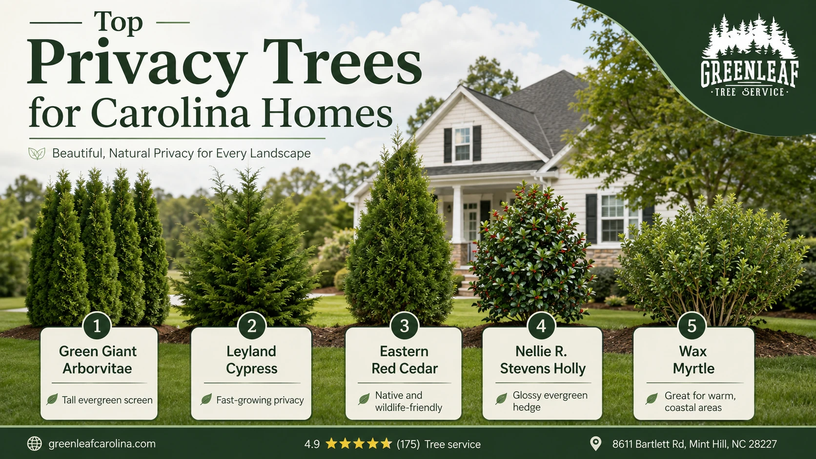Top privacy trees