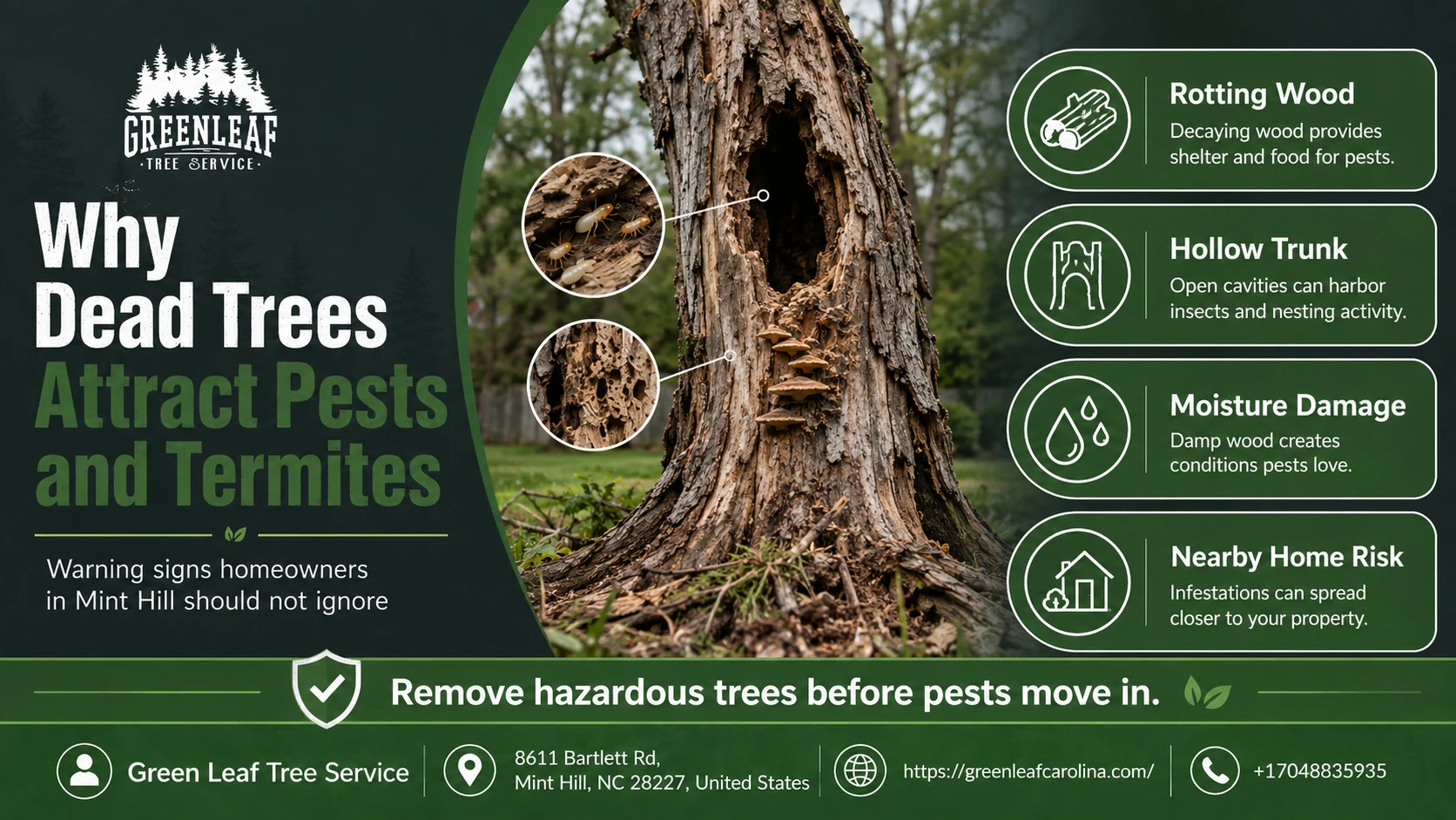 why dead trees attack pest and termites