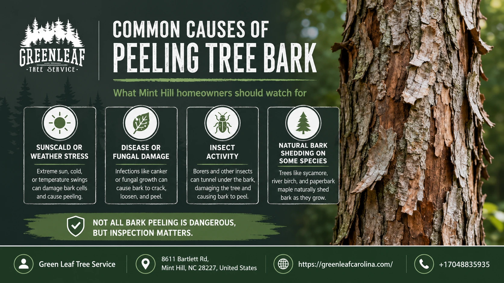 common causes of peeling tree bark
