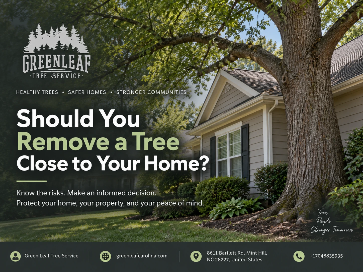 should you remove a tree close to your home