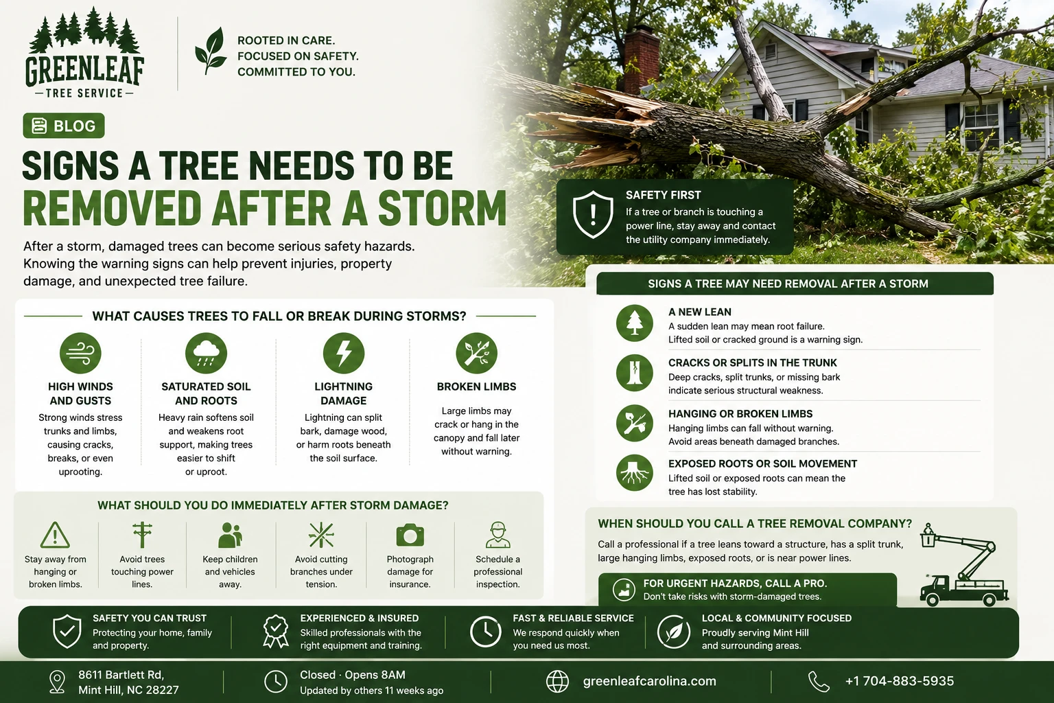 Signs a tree needs to be removed after a storm
