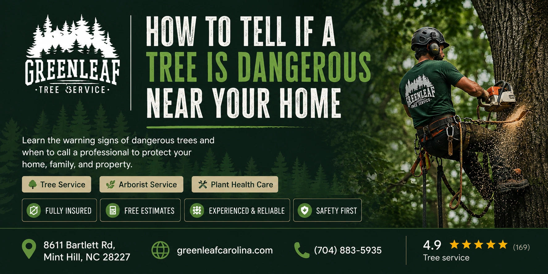 how to tell if the tree is dangerous near you