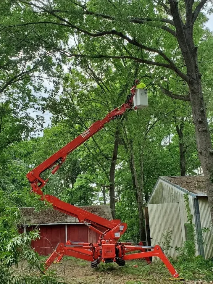 Tree Trimming- Green Leaf Tree Services 2
