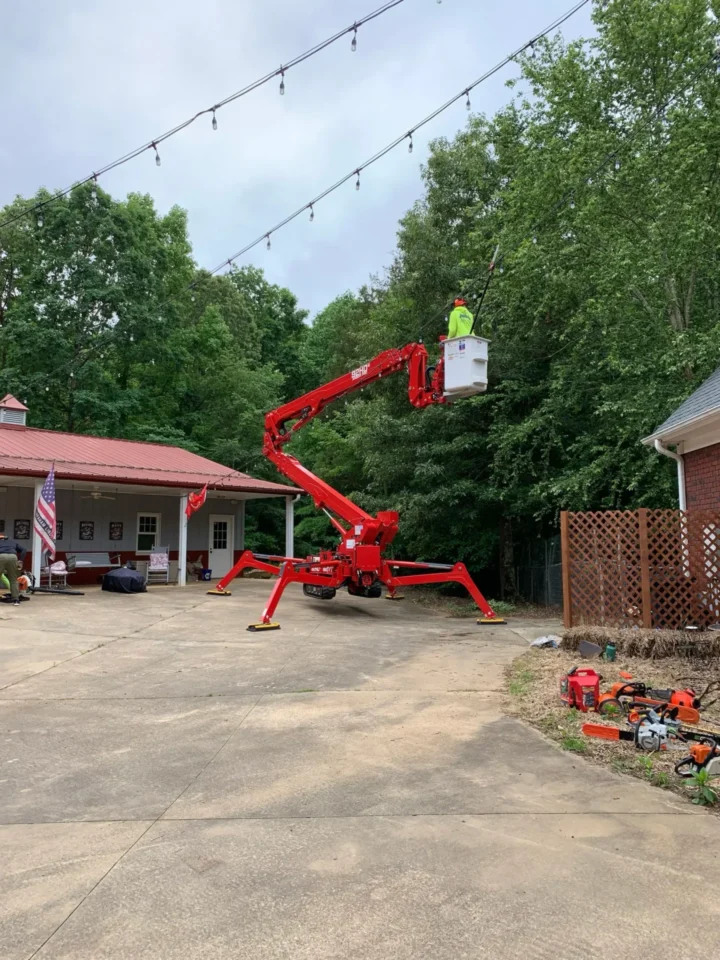 Green Leaf Services Tree Pruning